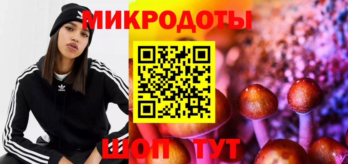 Галлюциногенные грибы MAGIC MUSHROOMS Саранск